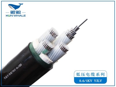 呼和浩特電線(xiàn)電纜廠家