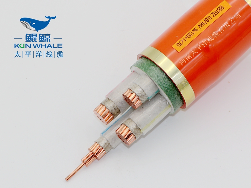 電線電纜廠家淺談什么叫BTTRZ電纜YTTW電纜型號是什么？